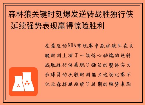 森林狼关键时刻爆发逆转战胜独行侠 延续强势表现赢得惊险胜利